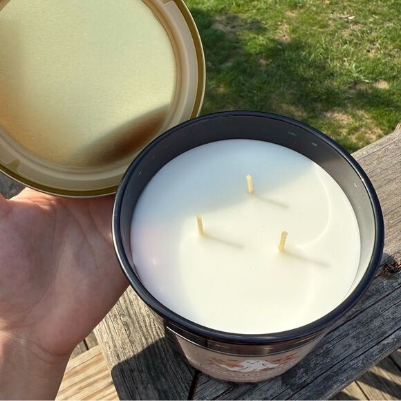 Clementine Paper Inc Cinnamon Spice 3 Wick Candle 24oz Ghost Mushroom Design - Picture 4 of 5